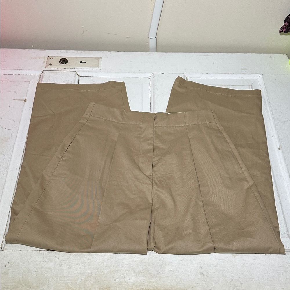 Zara Tan Barrel Leg Ankle Cropped Pants